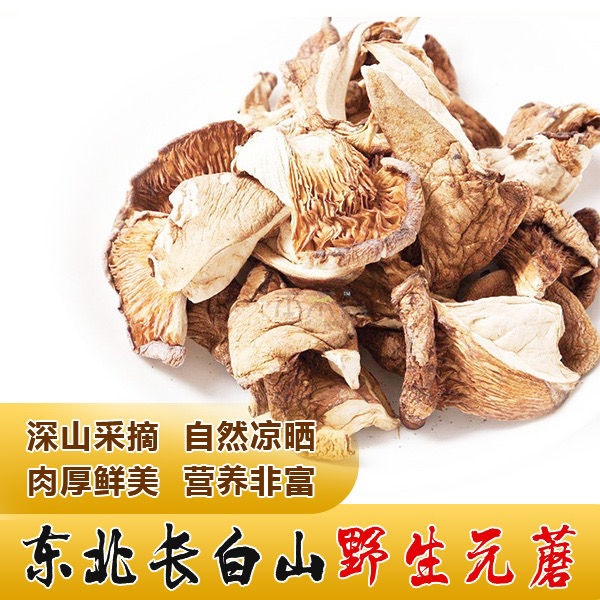 元蘑野生元蘑菇 冬蘑 黄蘑 亚侧耳 新货东北特产干货农家自采自晒