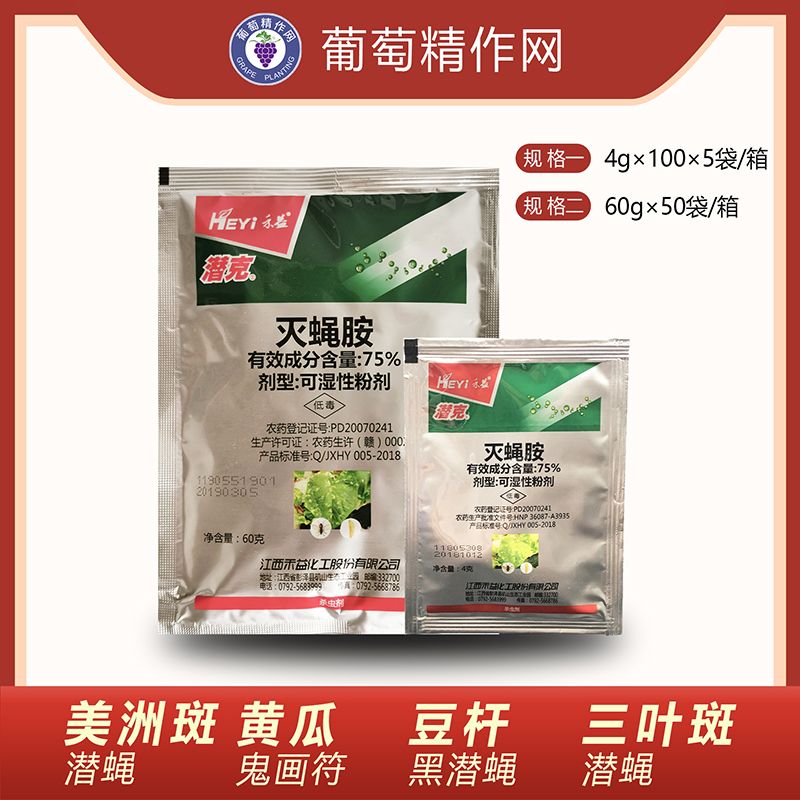 dd91f4f7-9514-43c3-8905-d01621cc56aa.jpg