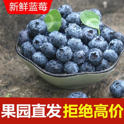 婴儿几个月能吃蓝莓 c4b9a2455007868c88d36b450815d67b.jpeg