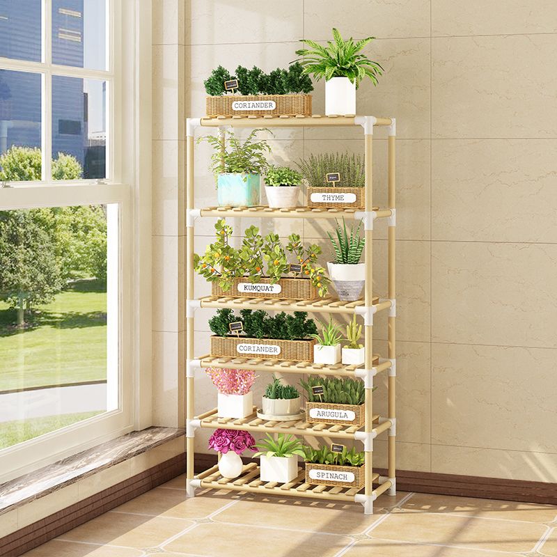 盆栽花架室内 c981b9a7-1dbb-4443-a5e3-9a4f6354612d.jpg