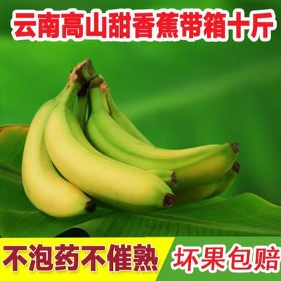 皇帝蕉