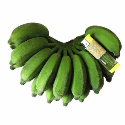 皇帝蕉