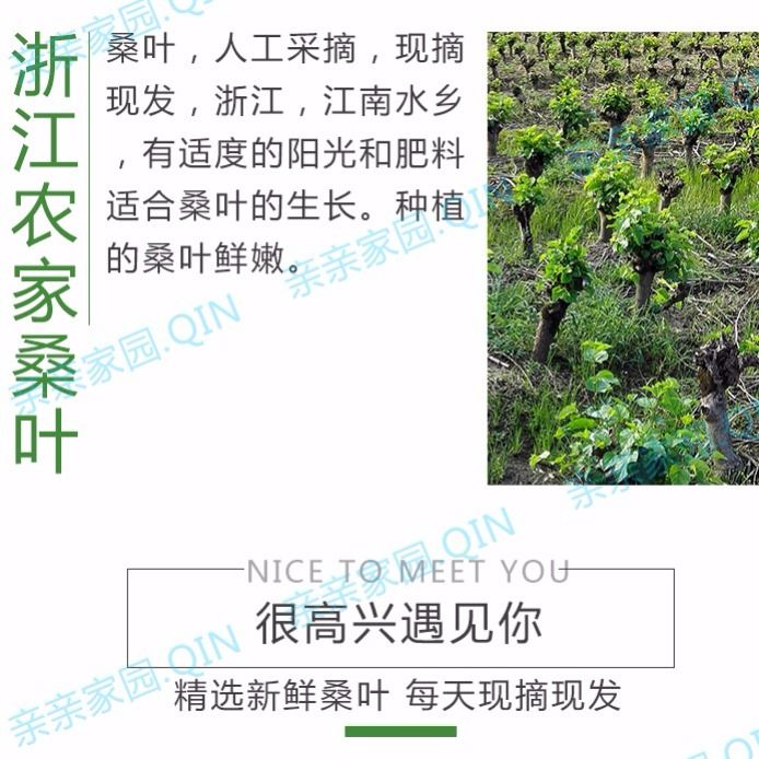 eb93fac5-fba4-4f6e-ac77-c5f97dac25e7.jpg