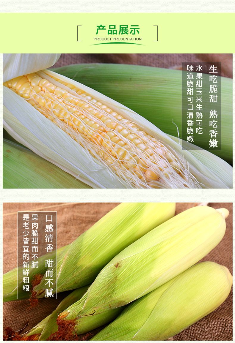 当季新鲜现摘广西生吃水果甜玉米应季孕妇早餐脆甜爆浆2/3/5/10斤