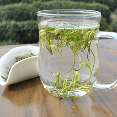 黄金芽