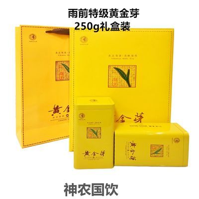 黄金芽