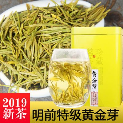 黄金芽