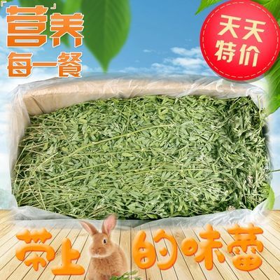 烘干苜蓿草