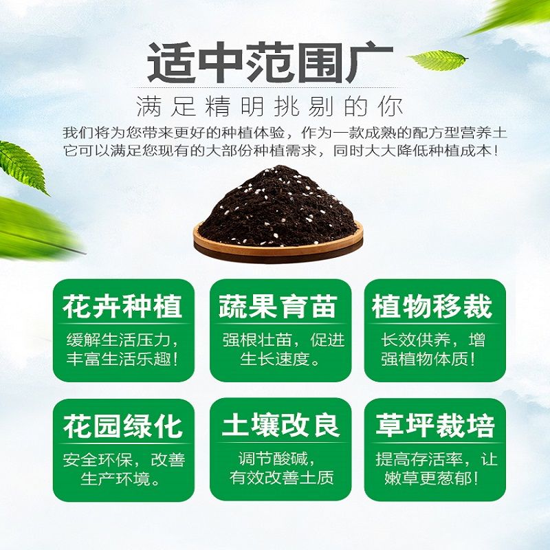 7243fb6b-30c3-4285-b755-9b4c3e59d0c0.jpg