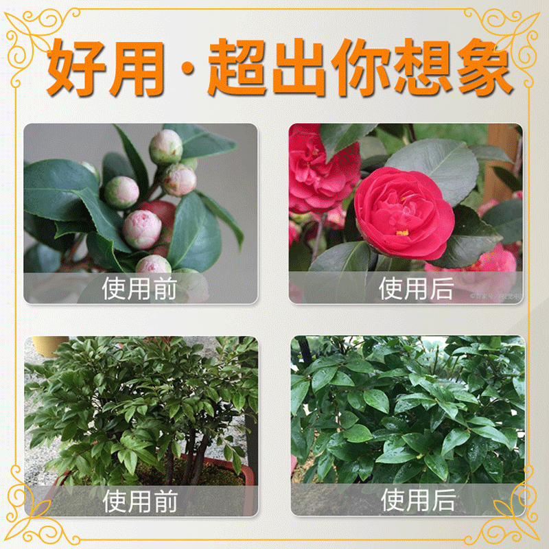 d27b7cf7-25b0-480b-a670-41368d93ca52.png
