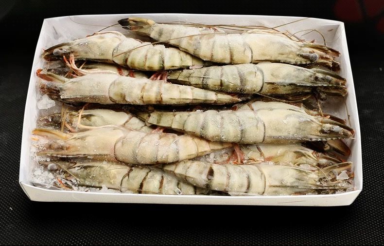 黑虎虾鲜活特大 超大16-20只海捕青岛大虾冻虾海鲜斑节虾新鲜海虾