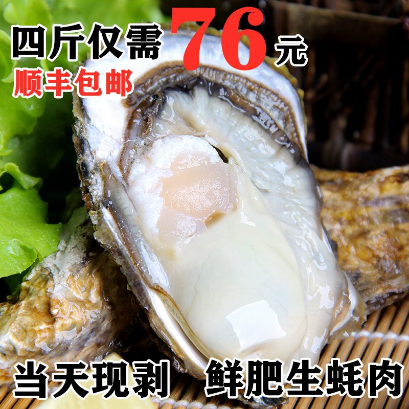 当天现剥野生生蚝肉个大即食海鲜海蛎子肉去壳牡蛎