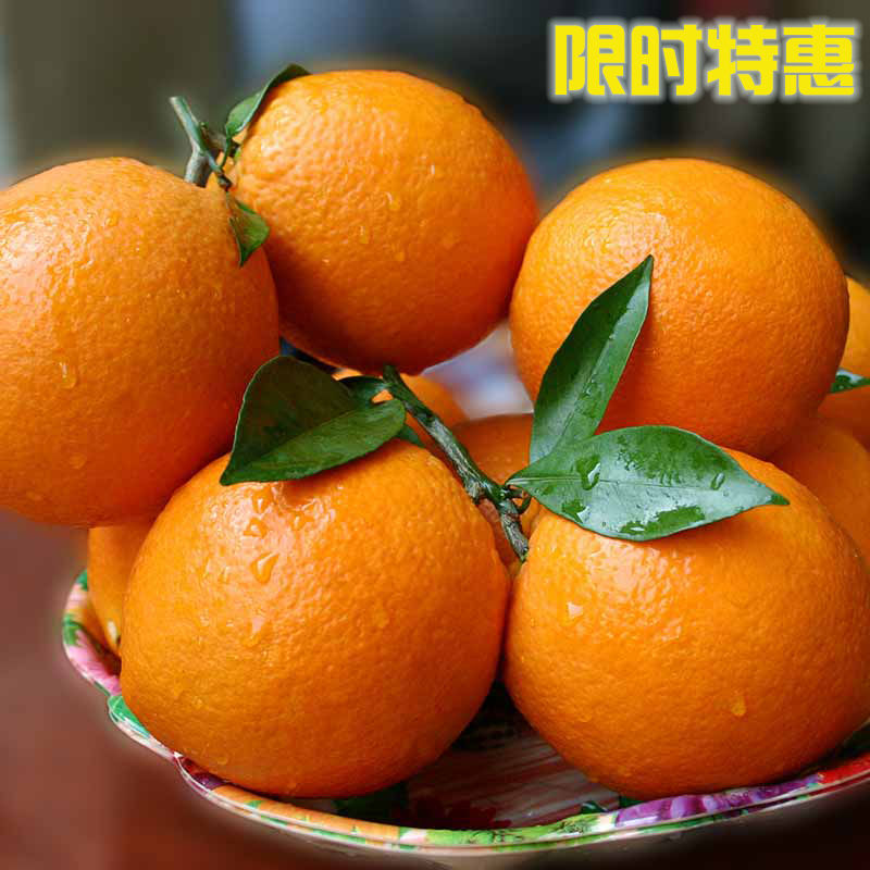 全国农产品地理标志 湖南崀山脐橙 5斤