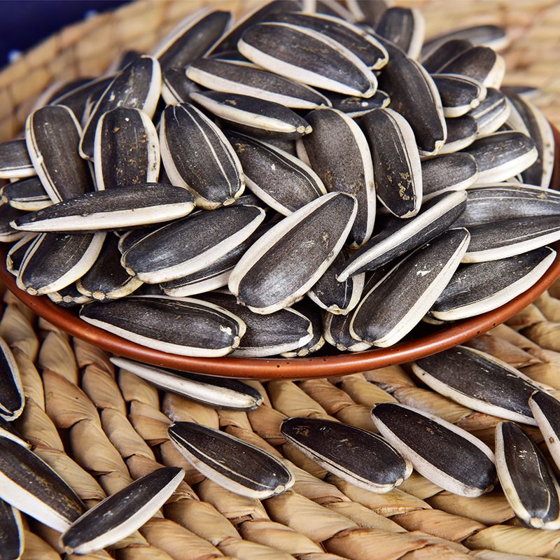 内蒙特产扣扣香向日葵生熟原味葵花籽1斤5斤新货大瓜子炒货零食