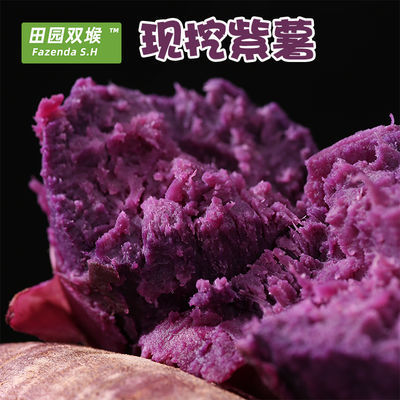 新鲜紫薯山东地瓜紫心蜜薯红薯现挖3/5板栗红薯红心烟薯整箱包邮