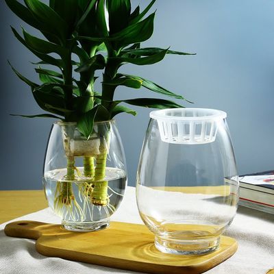恐龙蛋玻璃花瓶水培植物玻璃瓶客厅餐桌绿萝透明花盆花器水培容器