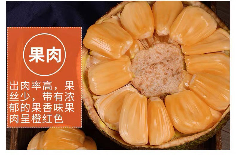 【树上熟红心菠萝蜜5-7斤】东南亚热带新鲜水果红肉菠萝蜜秋包邮