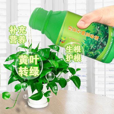 买一送一绿萝营养液通用一喷绿叶肥料增色生根爆芽富贵竹盆栽花卉