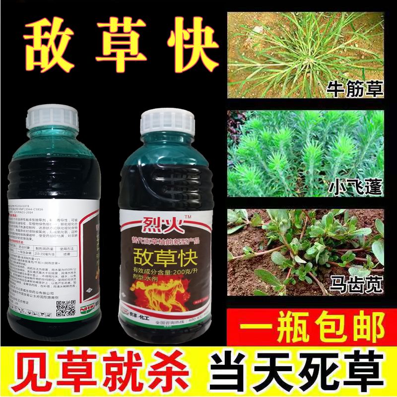 2a0c1183-7df5-4e11-88bd-e4eaaad1c661.jpg