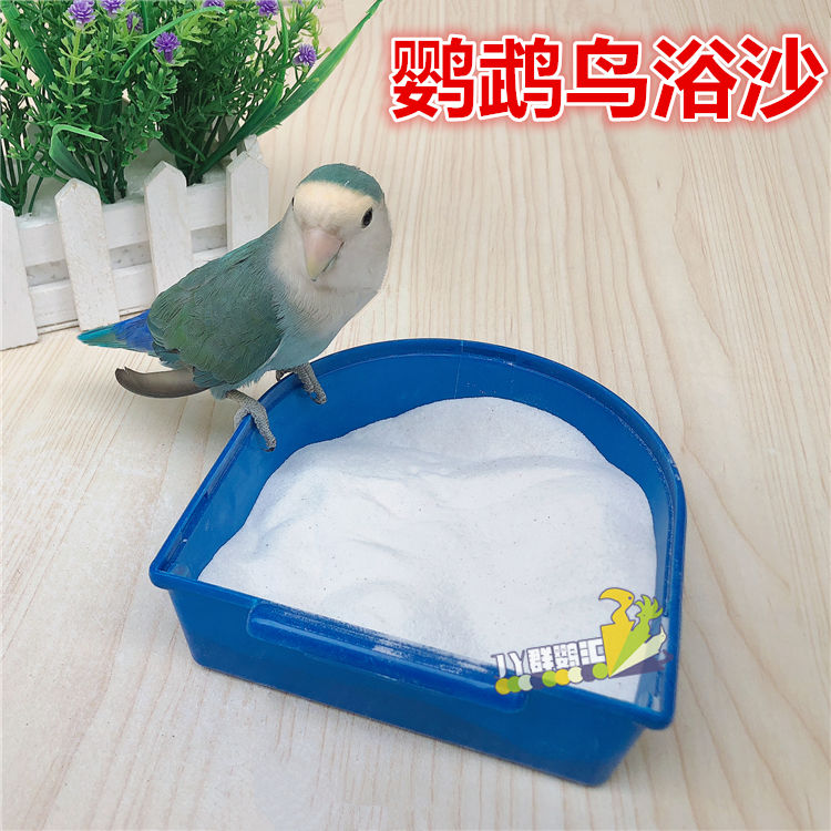 鹦鹉洗澡沙 洗澡粉 浴沙 冬天洗澡减少细菌和异味鸟用品