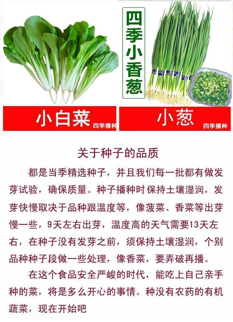 四季播种蔬菜种子阳台大棚菜籽黄瓜生菜西红柿草莓韭菜盆栽菜种子L