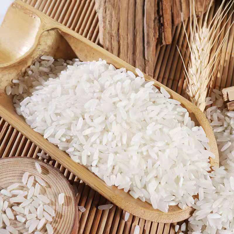 【新米】汇苏长粒香农家生态米软香米无添加稻香米10斤