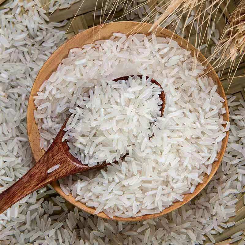 【新米】汇苏长粒香农家生态米软香米无添加稻香米10斤