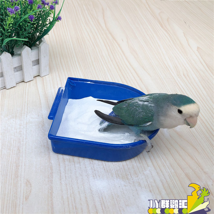 鹦鹉洗澡沙 洗澡粉 浴沙 冬天洗澡减少细菌和异味鸟用品