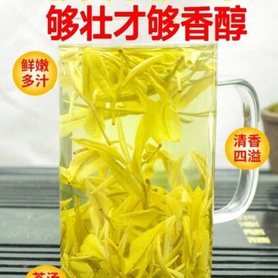 黄金芽