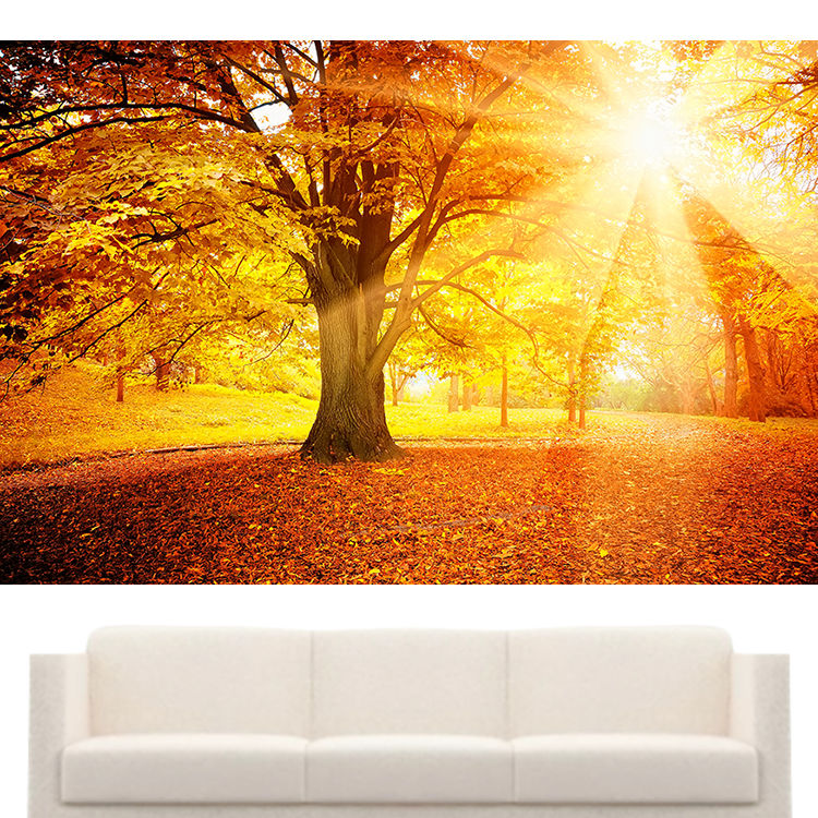 秋天风景画大树阳光墙贴黄色叶子装饰画树木树林客厅卧室背景墙面