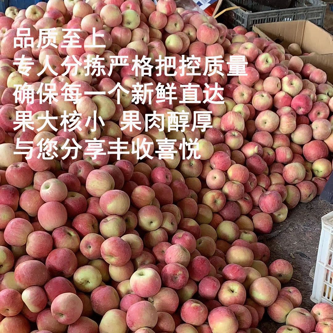 4180f0f0-1bcf-4ac0-b023-e5890f970257.jpg