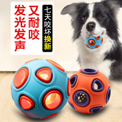 狗狗衣服冬季加绒新款泰迪比熊博美小型犬宠物秋冬装加厚保暖棉衣