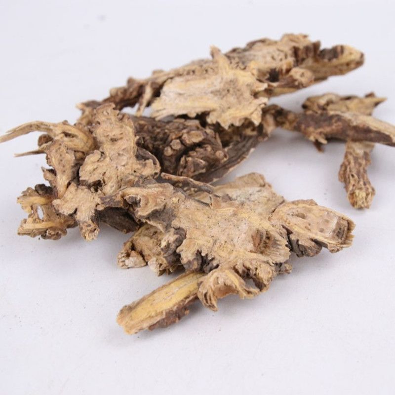 中药材藁本 精选藁本片 藁本茶 天然稿本 搞本 蒿本粉 散装 500g
