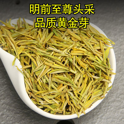 黄金芽