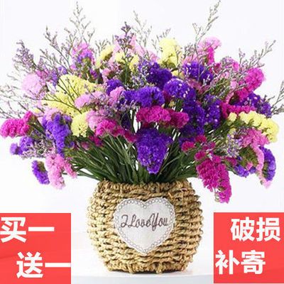 买1送1 勿忘我干花花束云南天然真花水晶草满天星客厅装饰包邮 爆款 三月 八丨发现今日什么值得买 比惠惠购物助手 慢慢买比价网 北美省钱快报 没得比 逛丢网更快更及时的网购推荐分享sanyueba Com