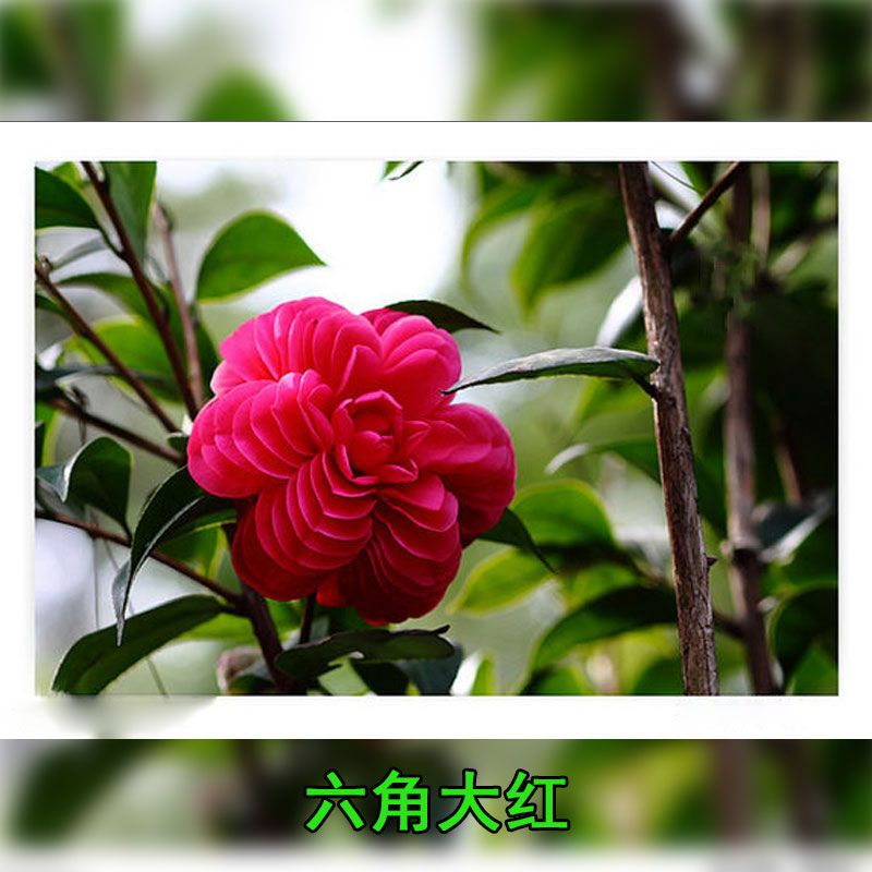 1a238da6-3fad-4a3b-823c-a047fe4ebb97.jpg