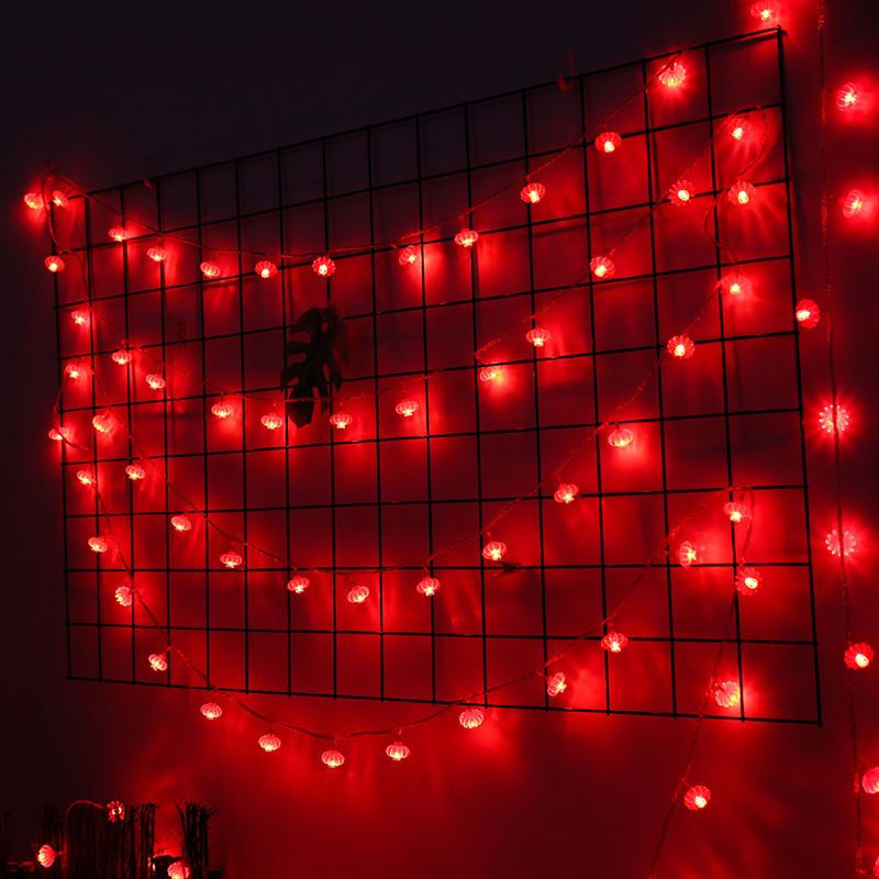 装饰灯串挂法 30f11e24-738f-4577-9e9b-54d0beb6abc8.jpg