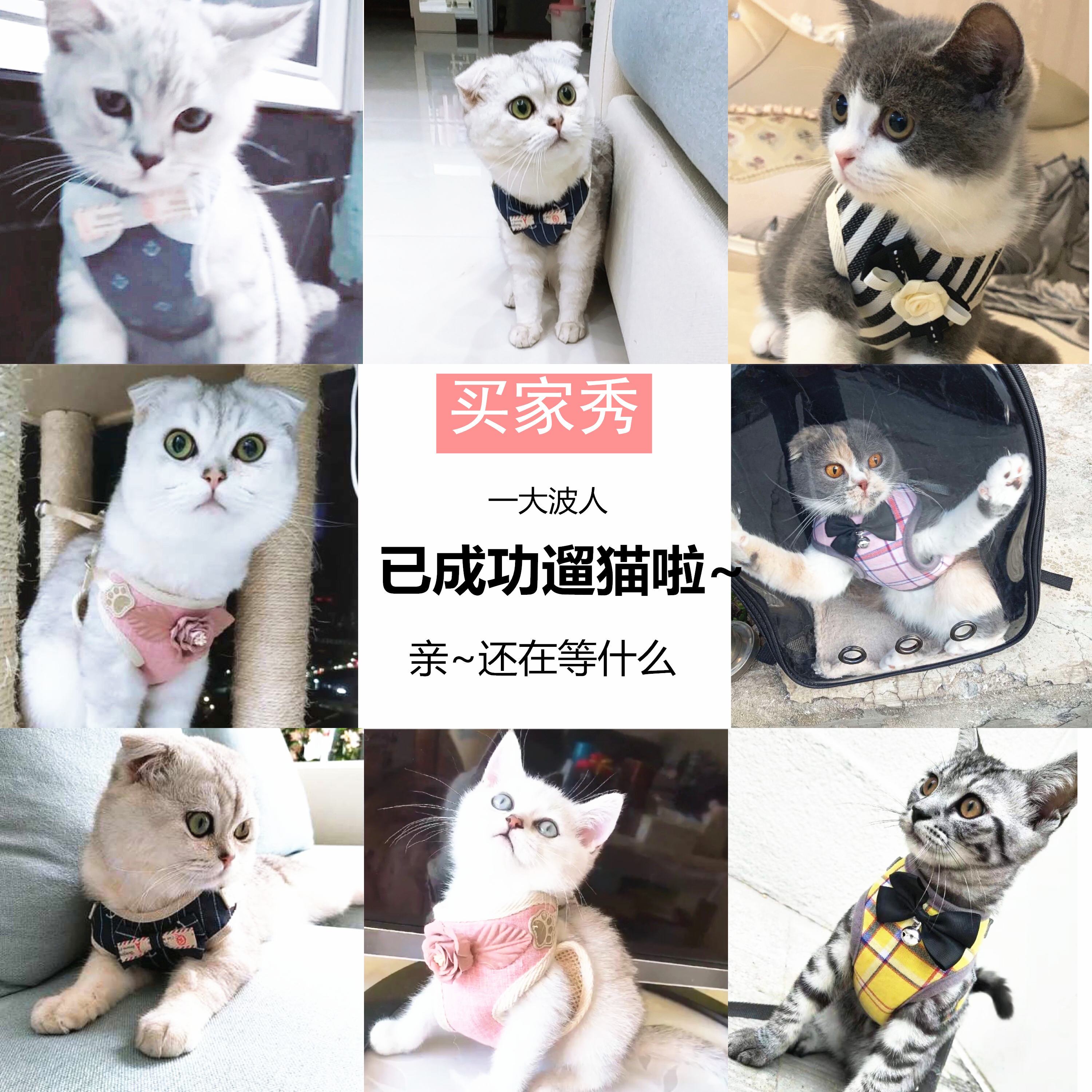 如何用绳子做猫咪的牵引绳 a129d75a-5532-44bd-858a-883444763b3d.jpg