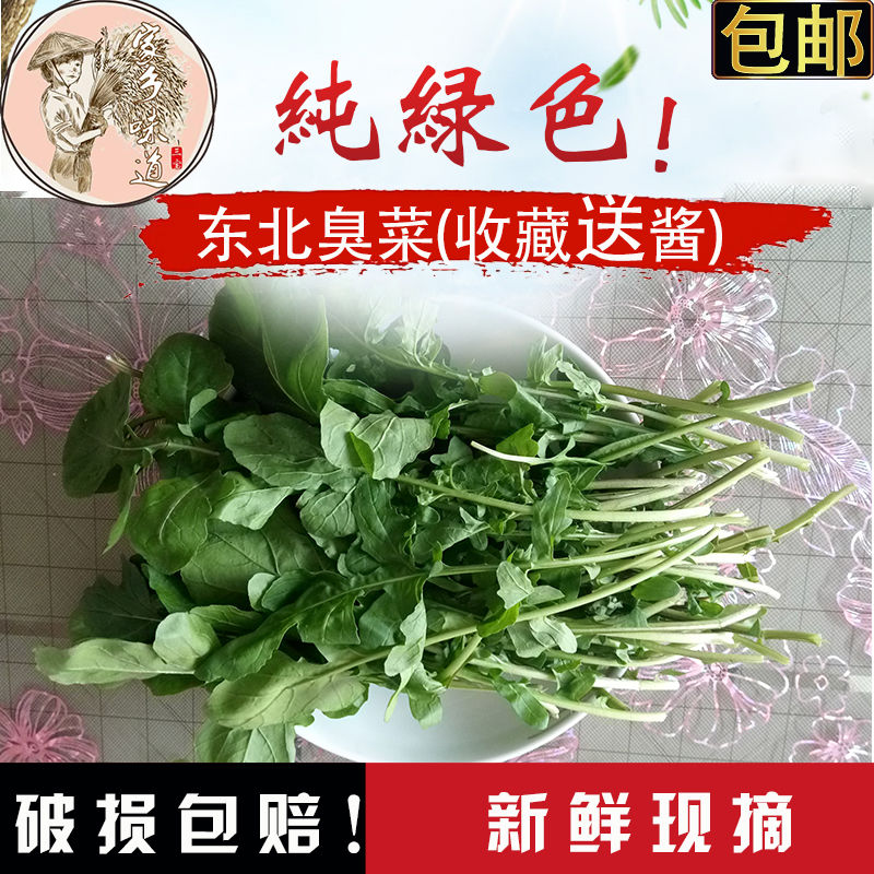 臭菜 东北 包邮 新鲜 500g大叶包饭农家自种 新鲜蔬菜 蘸酱菜包邮