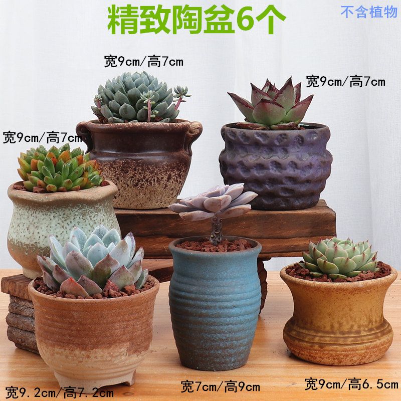 多肉小花盆可爱创意 3c8faf84-8e91-4a6b-8424-3b8e1fa68adf.jpg