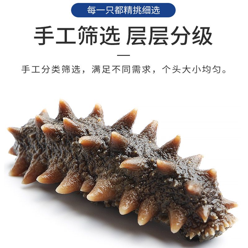 多少斤鲜海参出一斤淡干海参 989e0225-1802-410b-a412-c3c99393470d.jpg