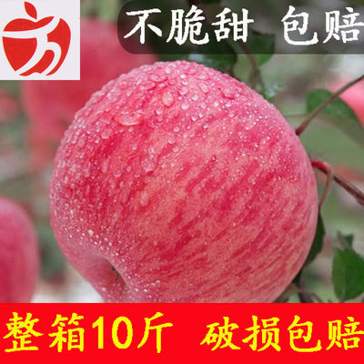 【不好吃全赔】苹果新鲜水果现摘山西万荣冰糖心苹果红富士苹果