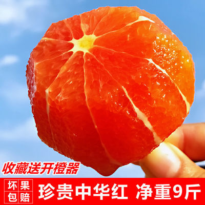 湖北三峡秭归早熟中华红血橙红心红肉橙子脐橙新鲜应季孕妇水果