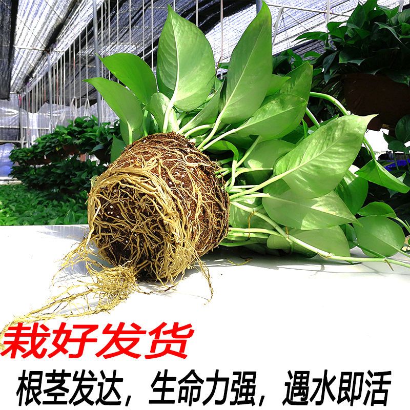 6db71689-d06a-4112-be90-9afe9b934a04.jpg