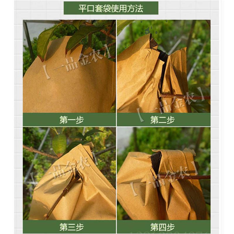 c5949c23-3cdd-499d-ab87-9900d72260e7.jpg