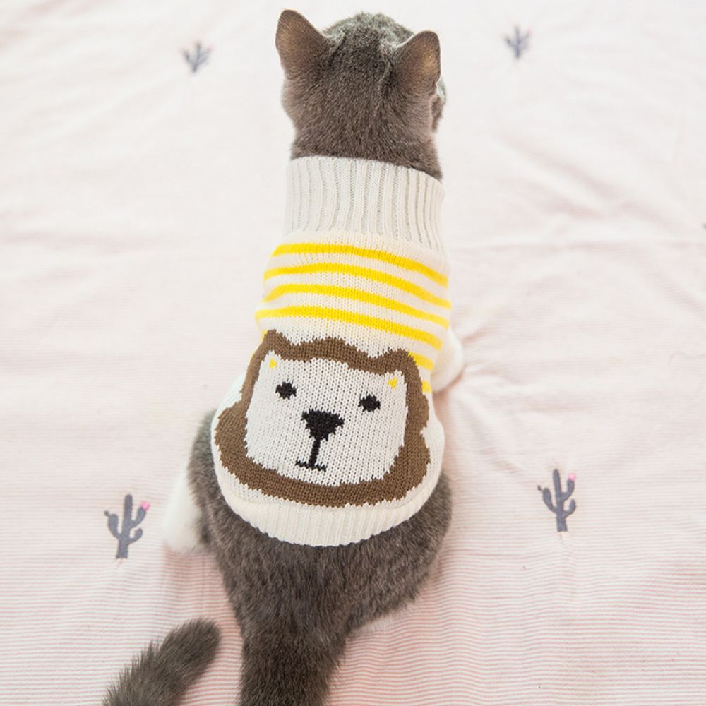 宠物猫掉毛怎么治 09fd4f18-58f0-4680-9ce1-1a6633e1c4be.jpg