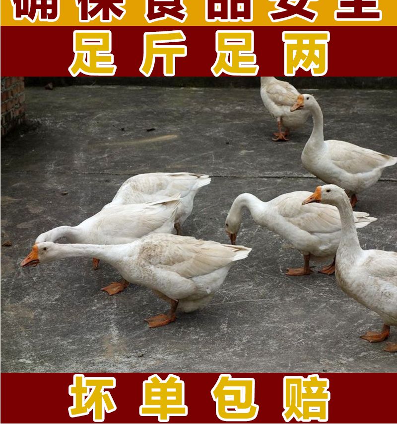 48e86121-da5b-489c-98cf-2b9790b82314.jpg