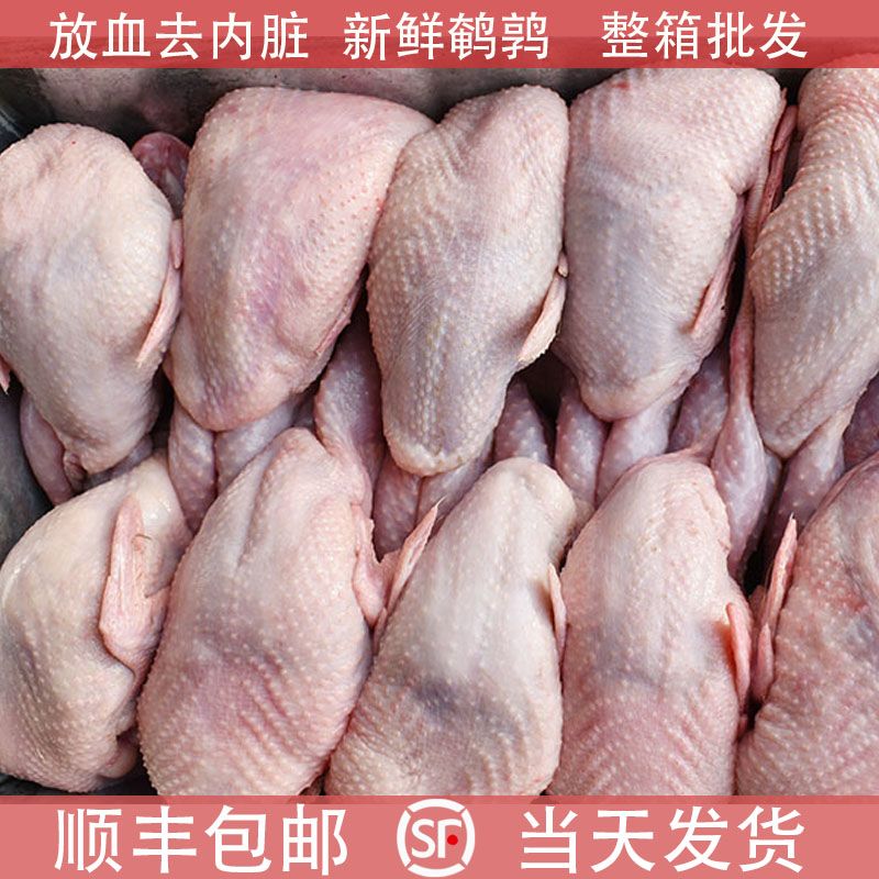2db9112d-cf5c-45e6-ac0b-537a5ab8a76b.jpg