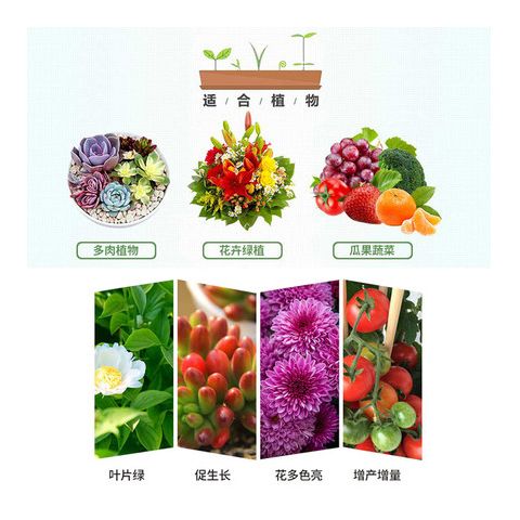 3270df73-c8d9-405d-b896-f2dbb6f6c8da.jpg