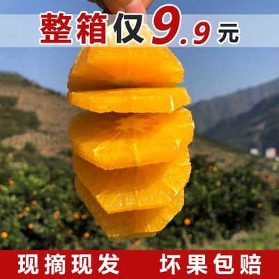 宜昌秭归脐橙10斤装当季水果新鲜橙子2/5斤非冰糖橙果冻橙爱媛